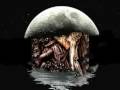 videos de Beseech - Sunset 28
