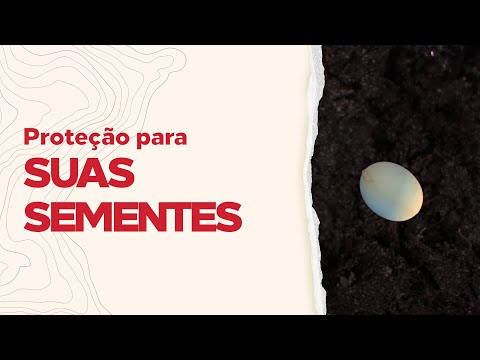 Conheça uma solução inédita contra doenças do solo e nematoides