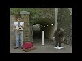 Mr. Bean - Street Performance