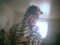 Zebra man to the rescue