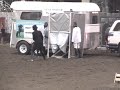 Shrink the Friesian Shrink the Friesian
