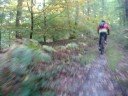 CANNONDALE . RANDO VTT CANTELEU ( DEP 76 ) CANNONDALE . RANDO VTT CANTELEU ( DEP 76 )