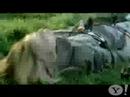 Outta my head- Ashlee Simpson