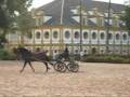 Real Escuela Andaluza del Arte Ecuestre - The Royal Andalusian School of Equestrian Art - Királyi Andalúz Lovasiskola - Jerez de la Frontera, Espana - Spain - Spanyolország