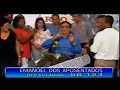 Pirado - Emanoel dos aposentados Pirado - Emanoel dos aposentados