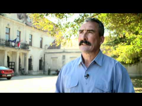 Videó megnyitása Videó megnyitása