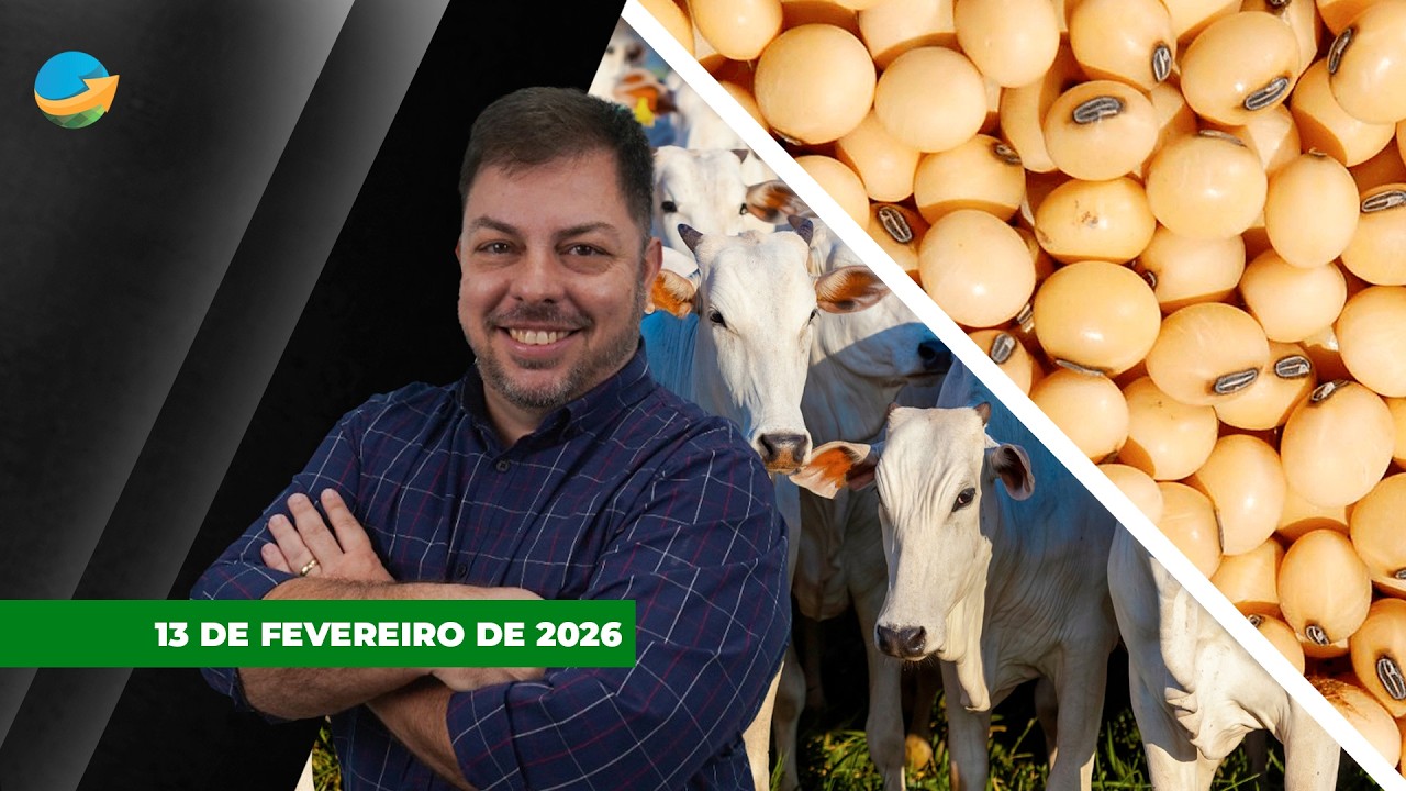 Semana intensa para o boi com arroba de R$350 sendo negociada em SP; soja realiza lucros depois das.