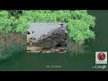 Climate Tours in Goo