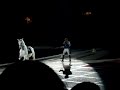 Lipizzaner does the non-mounted capriole at the World Famous Lipizzaner Stallion show at NIU convo center.