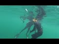 Amberjack spearfishing by 14 yr old freediver