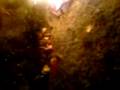 videos de Bonfife night 08