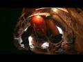 I'm a celeb- Davids Task (Holy Moley) [High Quality]