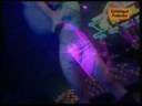 Lagu Banjar House - PARIS BARANTAI - Nanang Irwan Lagu Banjar House - PARIS BARANTAI - Nanang Irwan