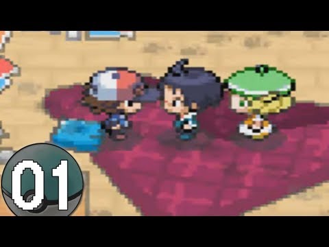 how to fix pokemon black no exp