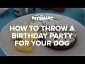 How to Throw a Birthday Party for Your Dog