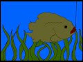 Lumpfish!