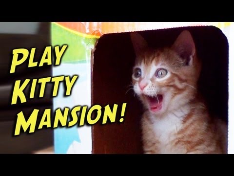 Play-Kitty Mansion!