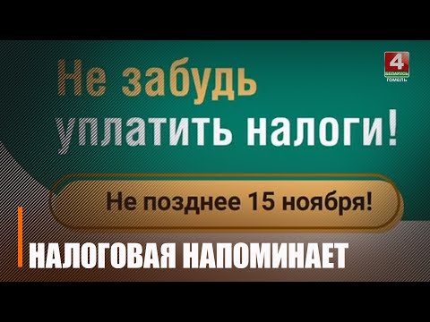 До 15 ноября. В налоговой напомнили об окончании сроков уплаты налогов видео