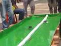 2008大葉盃全國太陽能模型船競賽
