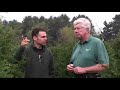 Choosing Trees for a Hedge Choosing Trees for a Hedge