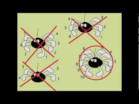 Image de prévisualisation YouTube