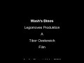 Lego-Firefly-Wash-s-