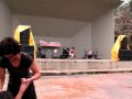 Iara Rennó no Parque da Aclimação I