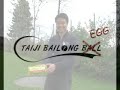 Taiji Bailong "Egg" oder lieber "Egg Ball"?