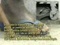 videos de Ele usa havainas.