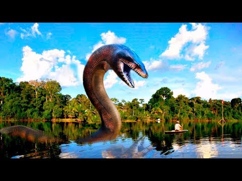 UNSOLVED Mysteries Of The Amazon!