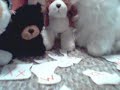 Webkinz Puzzle! Dedicated to XxWebkinzxX
