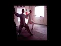 tai chi chuan 108 stances shen chien school