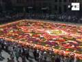 700 mil flores forman el tapiz floral más grande del mundo
