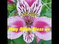 Islamic-Madeeh-Nazra