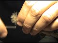 Coho Rolled Muddler Minnow