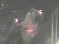 Ghoul Live at MDF Part 2 of 2