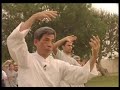 Master Wang Fu Lai Taichi demonstration Master Wang Fu Lai Taichi demonstration
