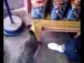 [Video]