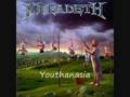 MEGADETH - Guitar Solos  Youthanasia 