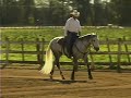 01 Dennis Welcomes You to Bright Ranch Reining Horses 01 Dennis Welcomes You to Bright Ranch Reining Horses