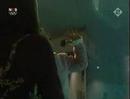 Kissing Whale