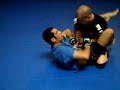 Jokers Wild Fighting 4