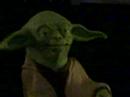 You\