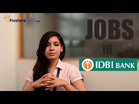 how to apply ibps bank exam 2015