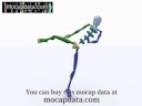 pay motion capture data Karate -mawashigeri-