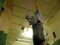Merry Place suspended ceiling installation