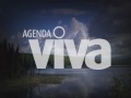 videos de ODILE RODRIGUEZ DE LA FUENTE HABLA DE AGENDA VIVA