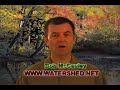Spirulina and Chlorella - Which One to Take