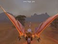 WoW - Purgen WoW - Purgen