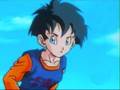 Gohan e Videl lo strano percorso